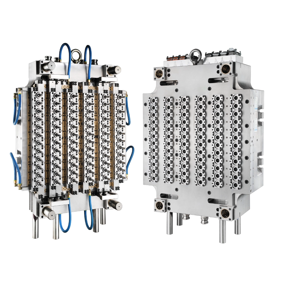 common wh 1000x1000px 2024 09 10 11 24 53 873373